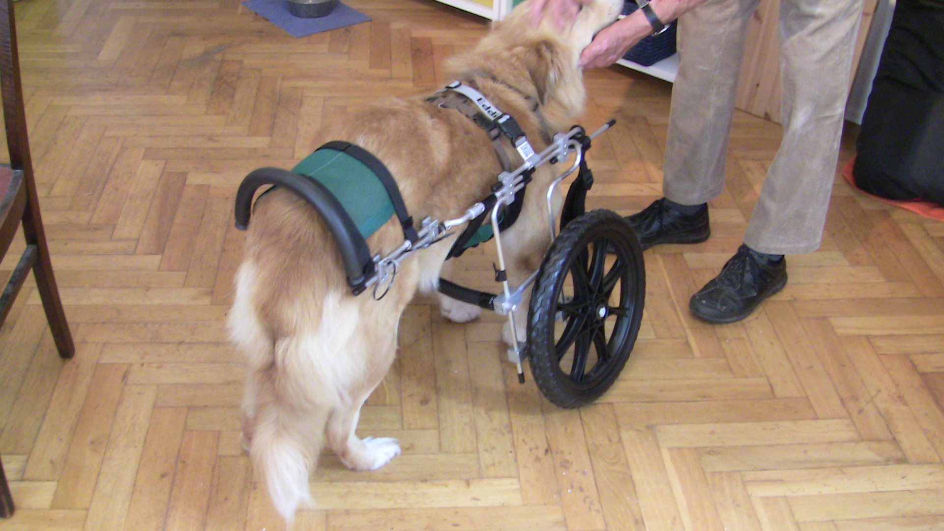 Barry - Passt wie angegossen.JPG (1920 x 1080)